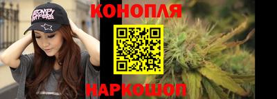 прущие грибы Вязники